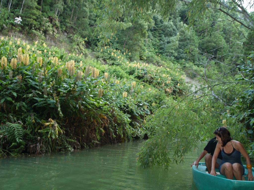 Quinta Da Mo * Furnas (Azores)